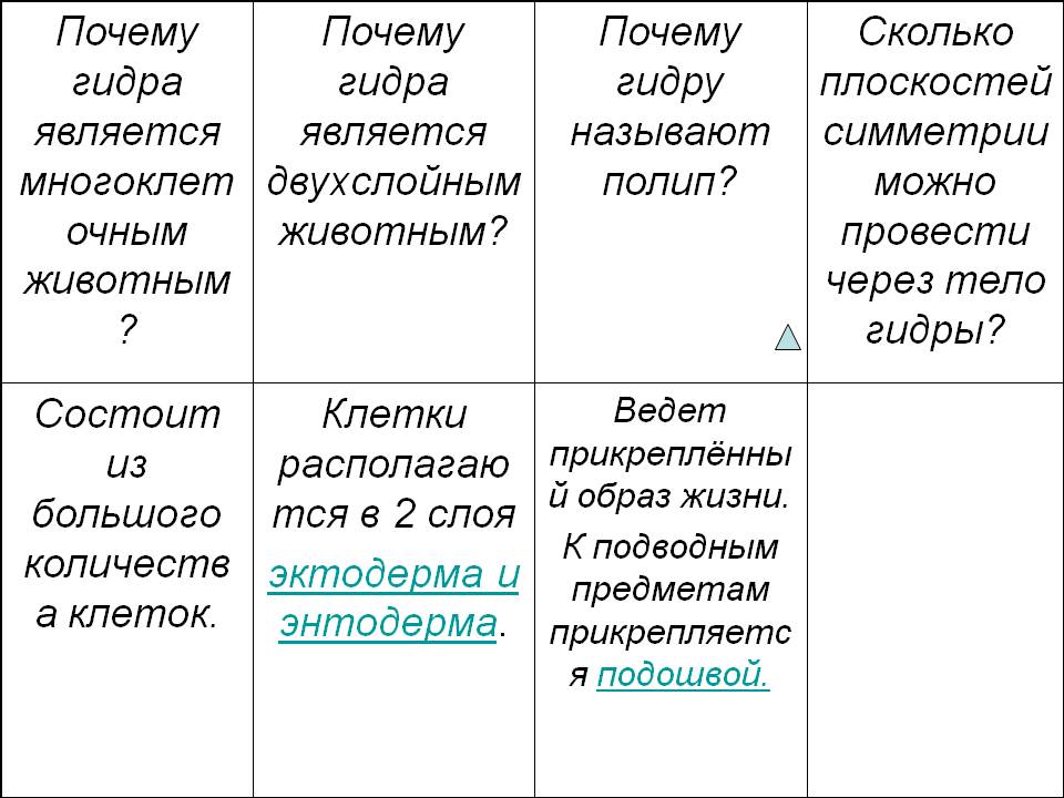 Кракен маркетплейс ассортимент