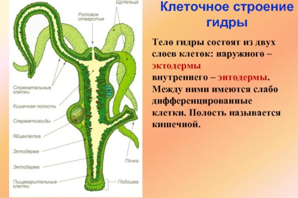 Gidra магазин