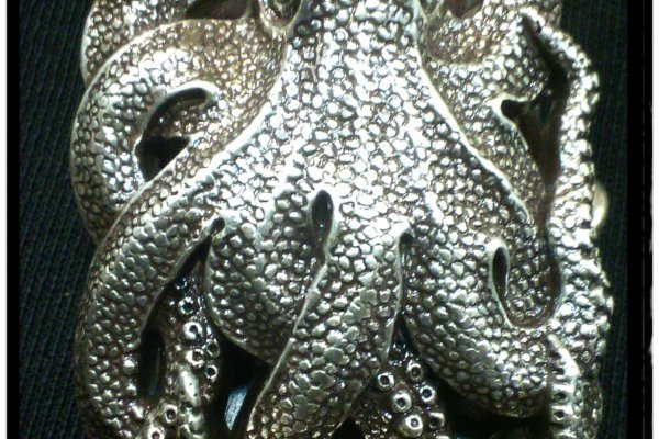 Kraken 24 top