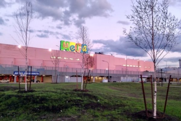 Найти зеркало кракена