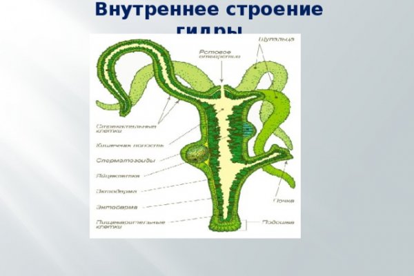 Линк кракена